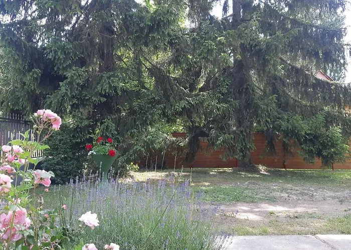 Schieszl 3 Dom wakacyjny *